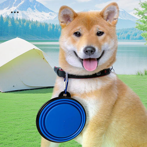 RoadBowl™ — Foldable Silicone Pet Travel Bowl