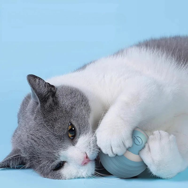 PounceBall™ — Automatic Interactive Cat Toy